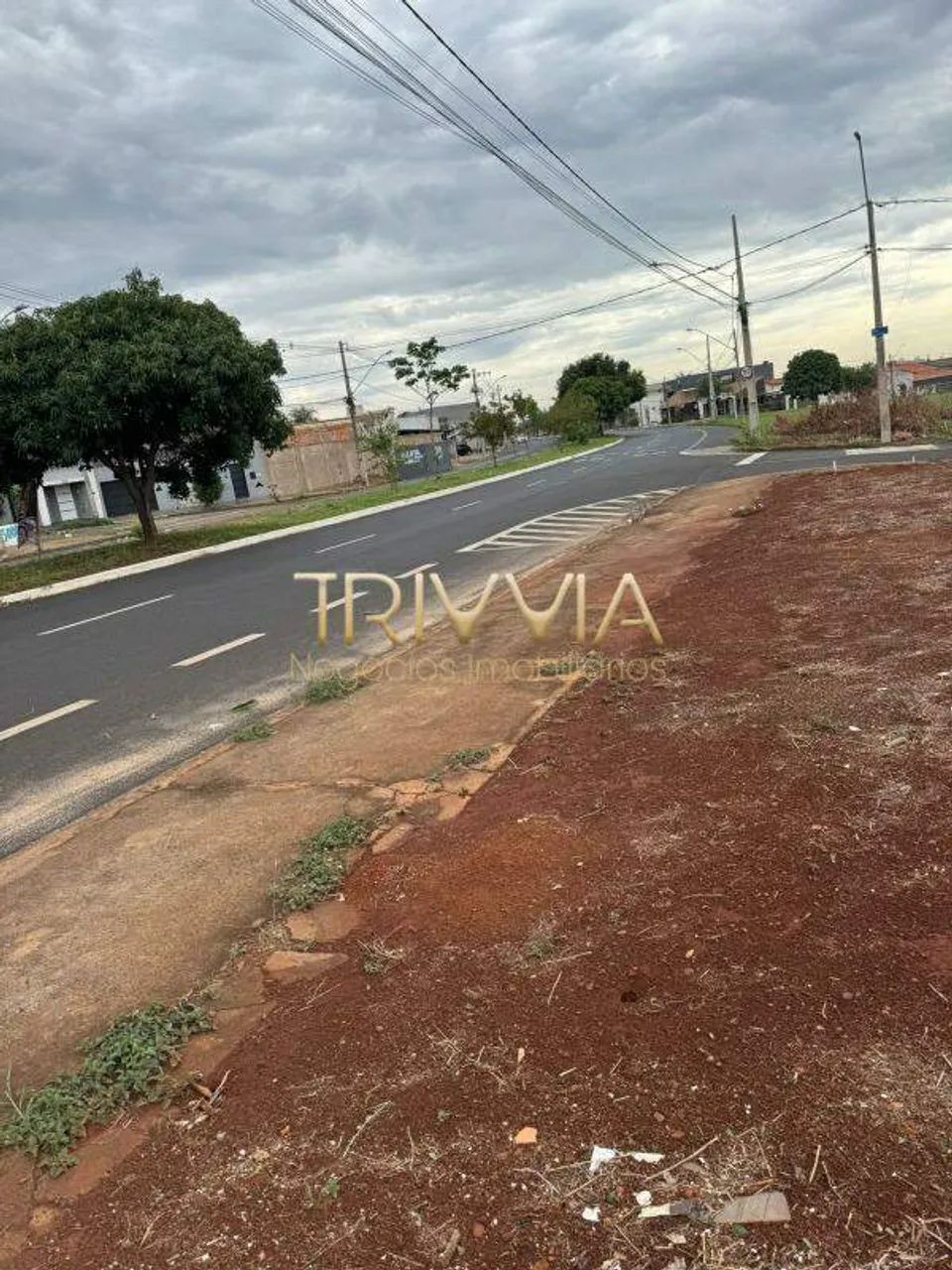 Terreno à Venda  Excelente Oportunidade para Construção - Foto 3