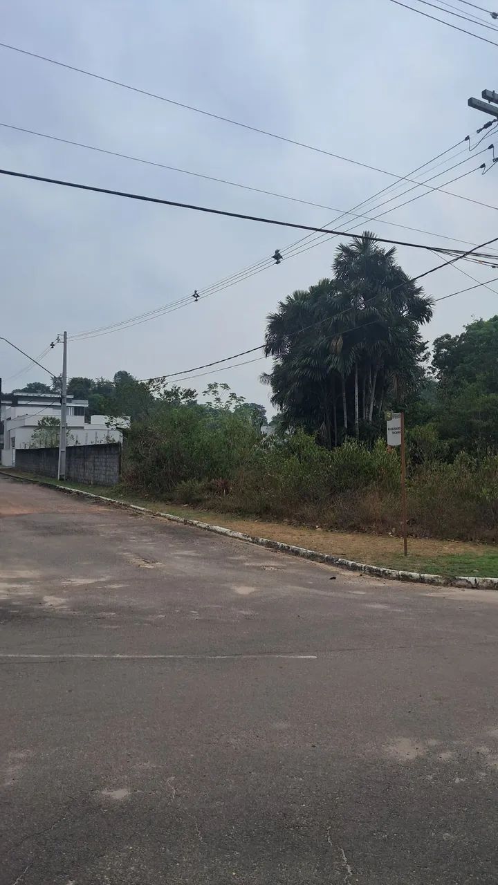 Serviços de roçador 