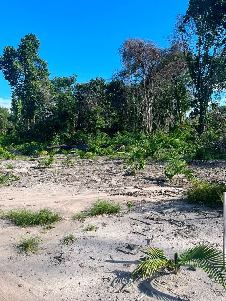 TERRENO A VENDA RAMAL DOS COELHOS - Foto 3