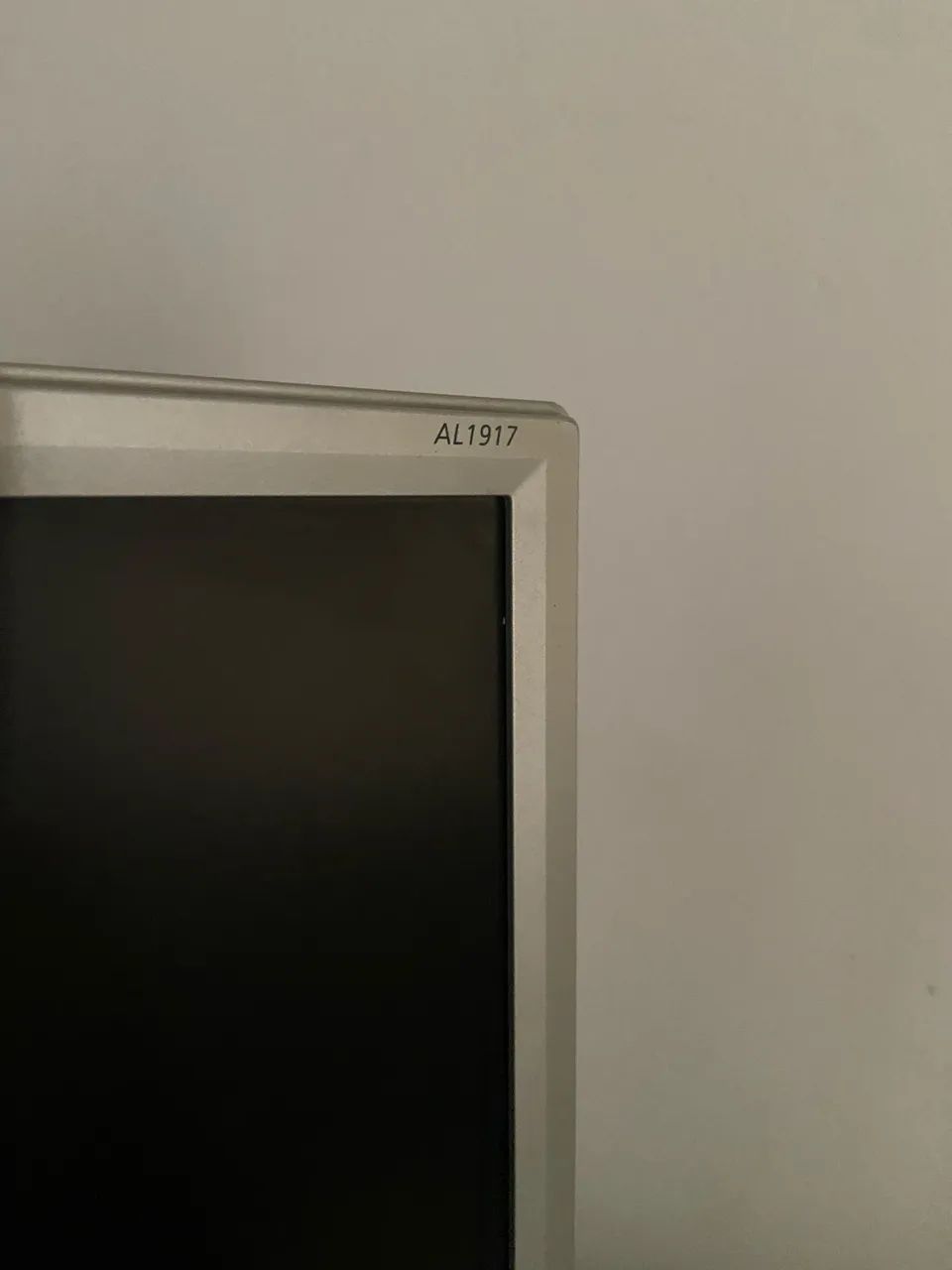 Monitor Acer LCD AL1917 17 polegadas - Monitores - Jardim São