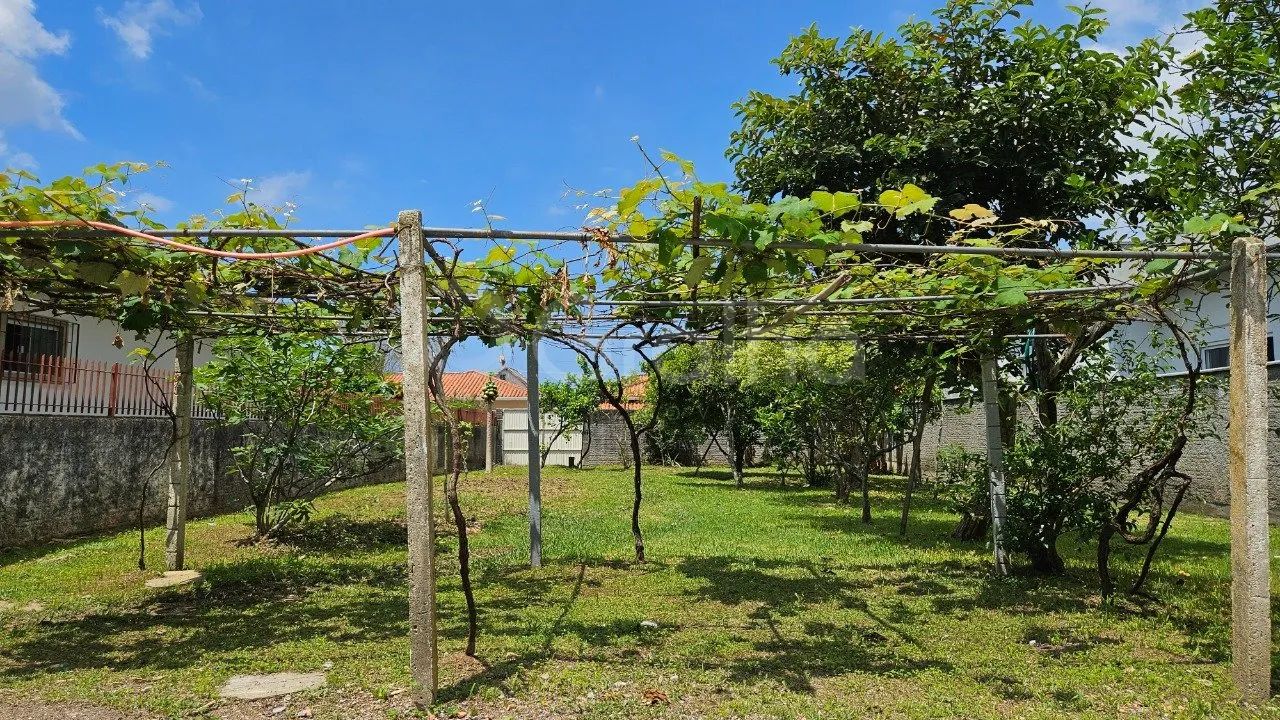 Terreno de 360 m² no Carianos - Foto 5