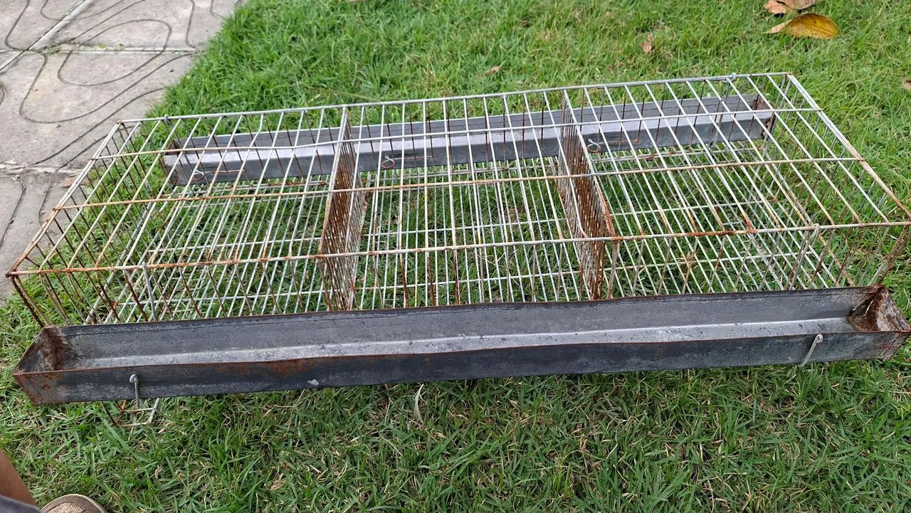 Gaiolas para codornas 