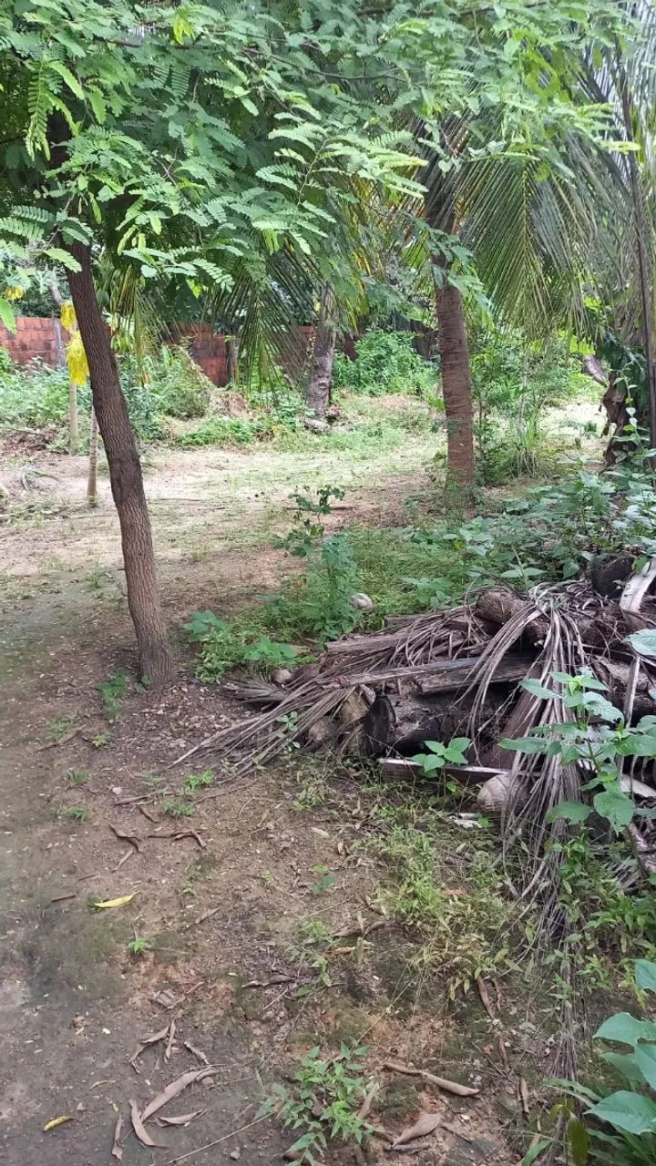 Terreno, Vendo ou troco em carro 