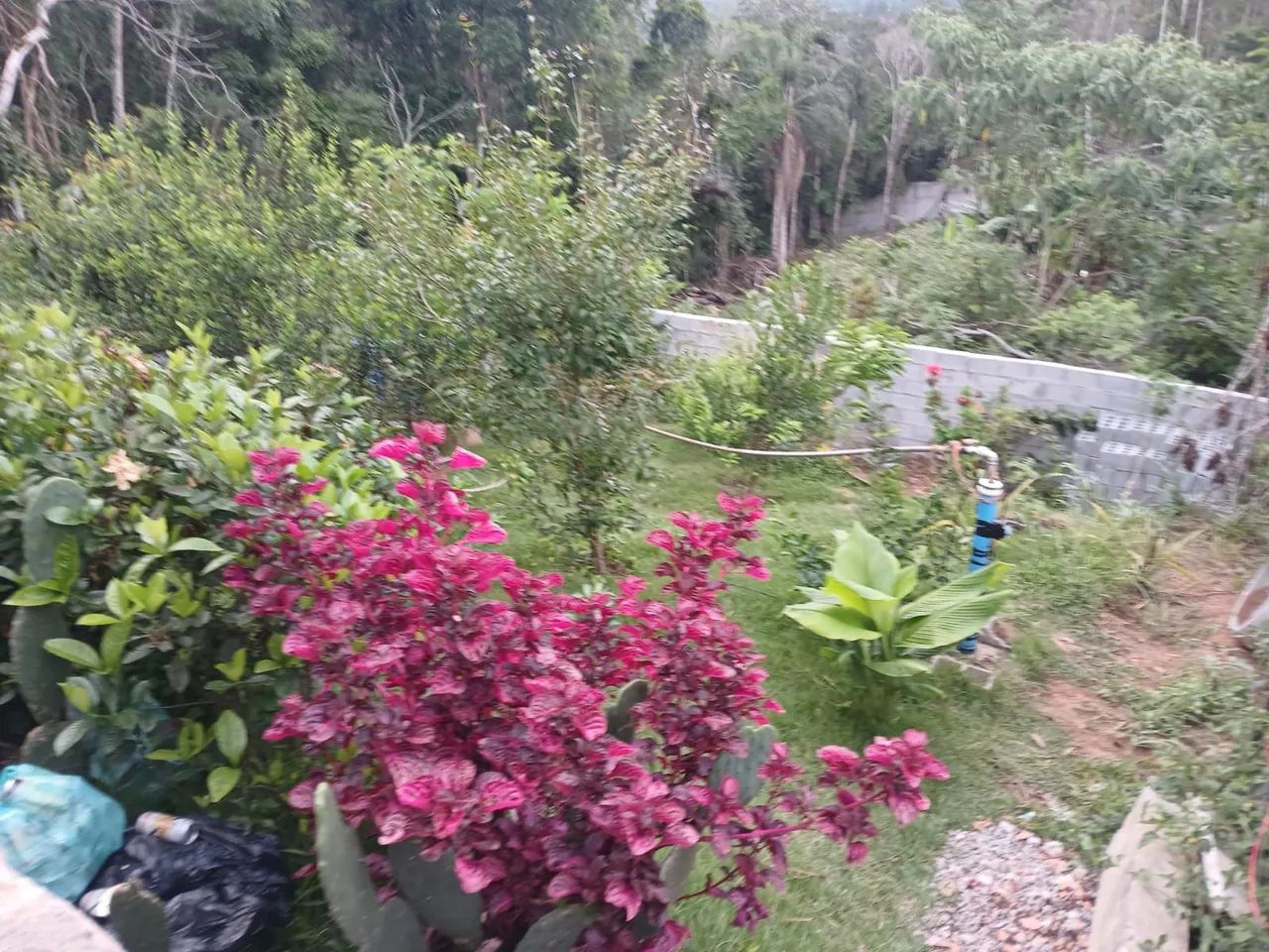 Chácara  - Foto 5