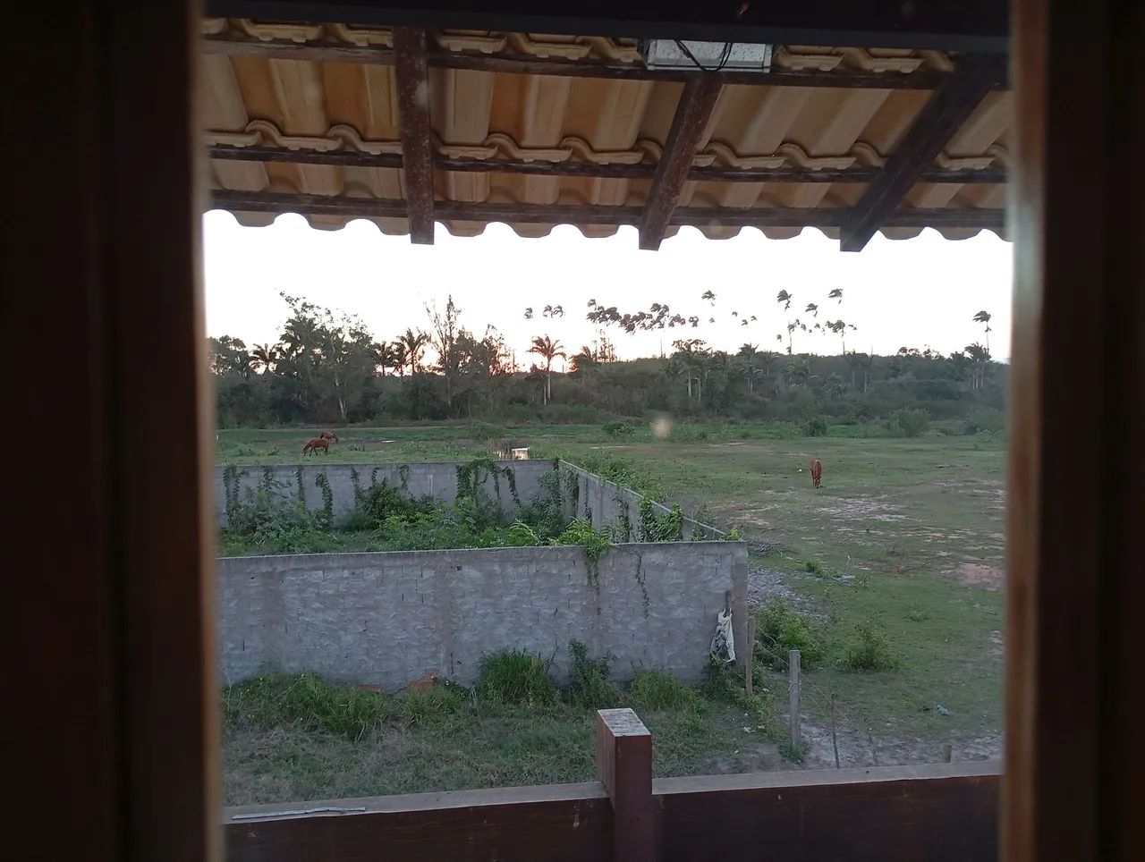 Centro da cidade terrenos.
