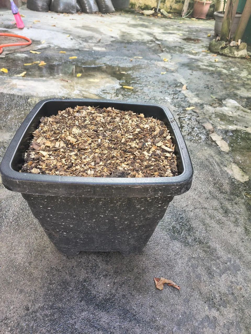 Vasos com terra adubada e uréia  - Foto 2
