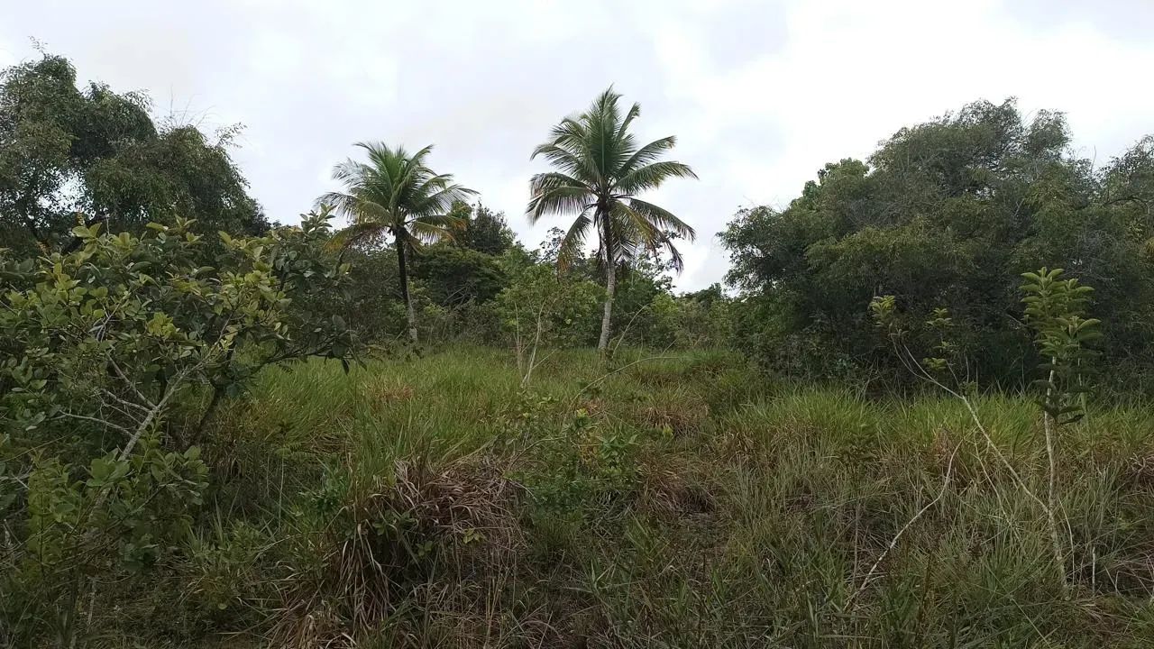 Área em   Conde - Jacuma  -  PB - Foto 4