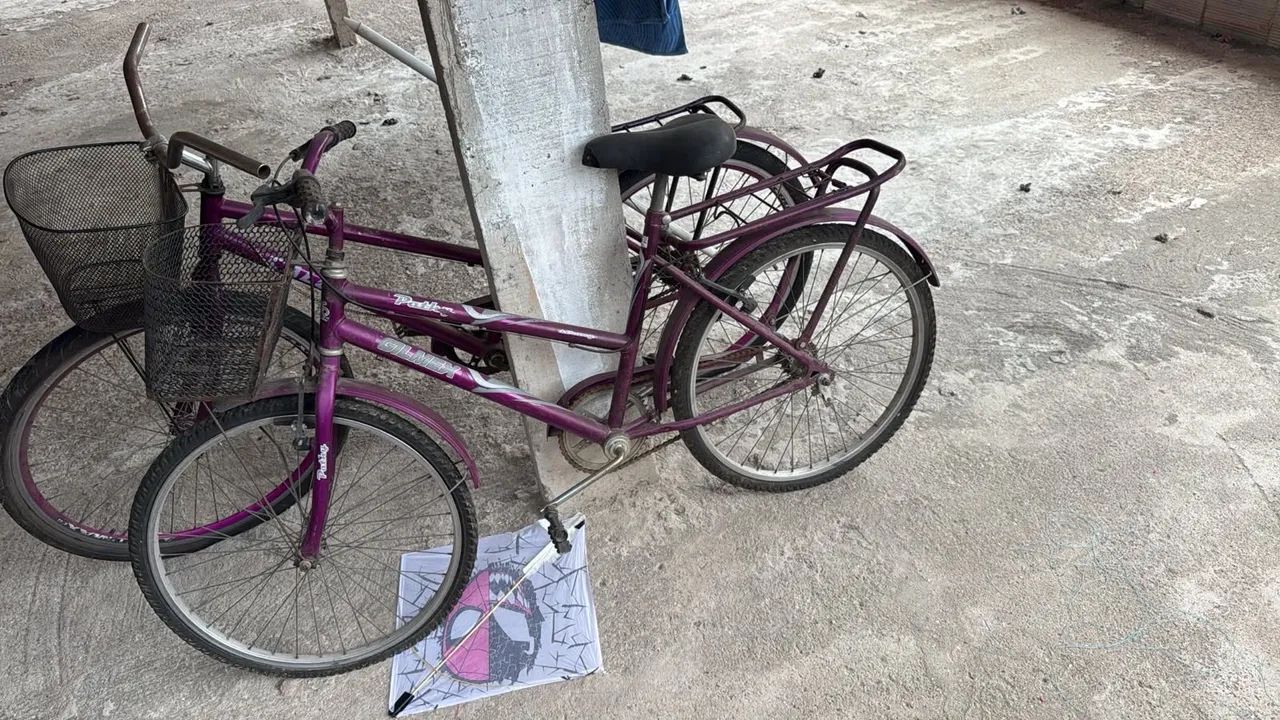 Vendo essas duas poti - Foto 2