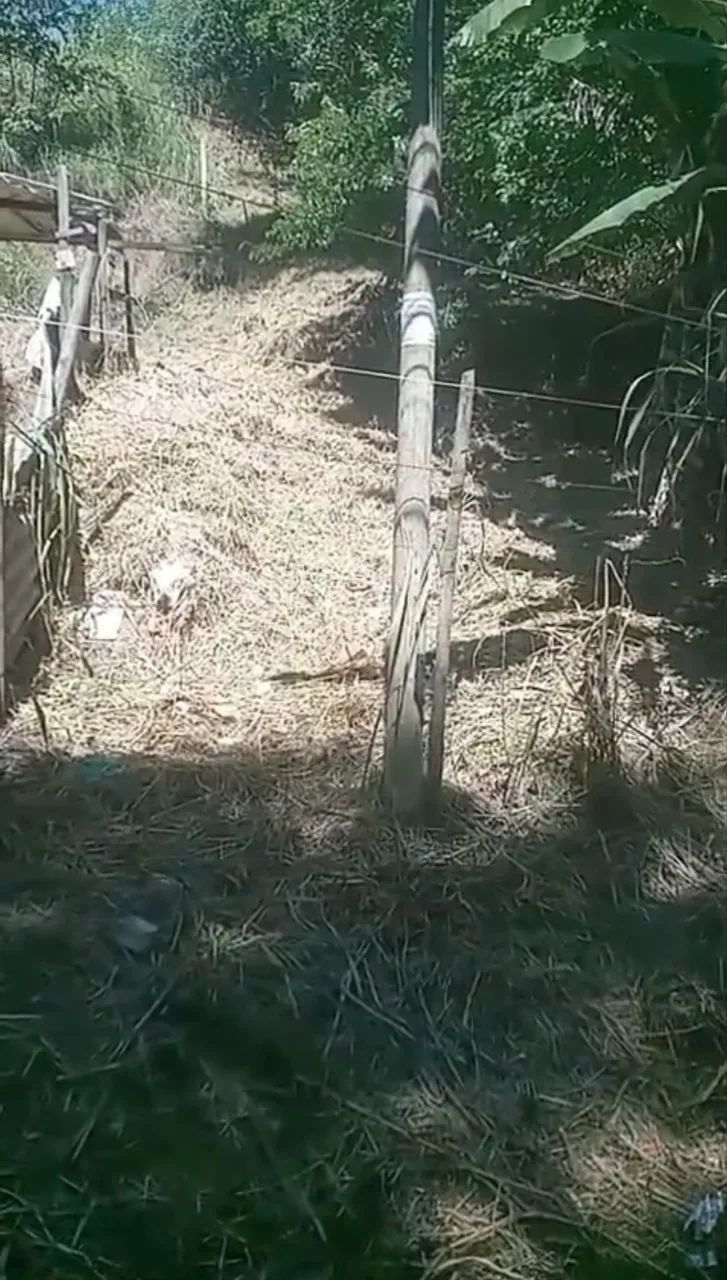 Terreno Pinheiral - Foto 3
