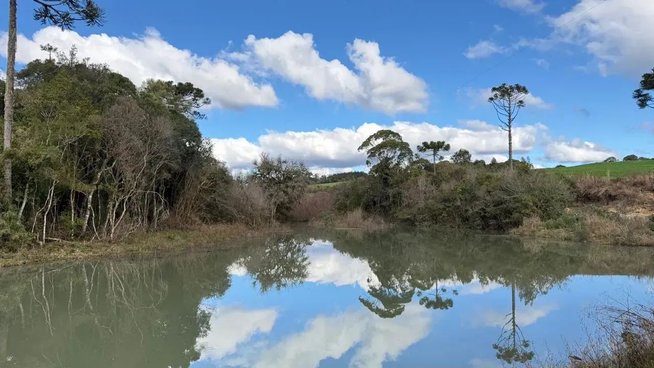 Propriedade Rural  45 Hectares | BOM RETIRO/SC - Foto 2