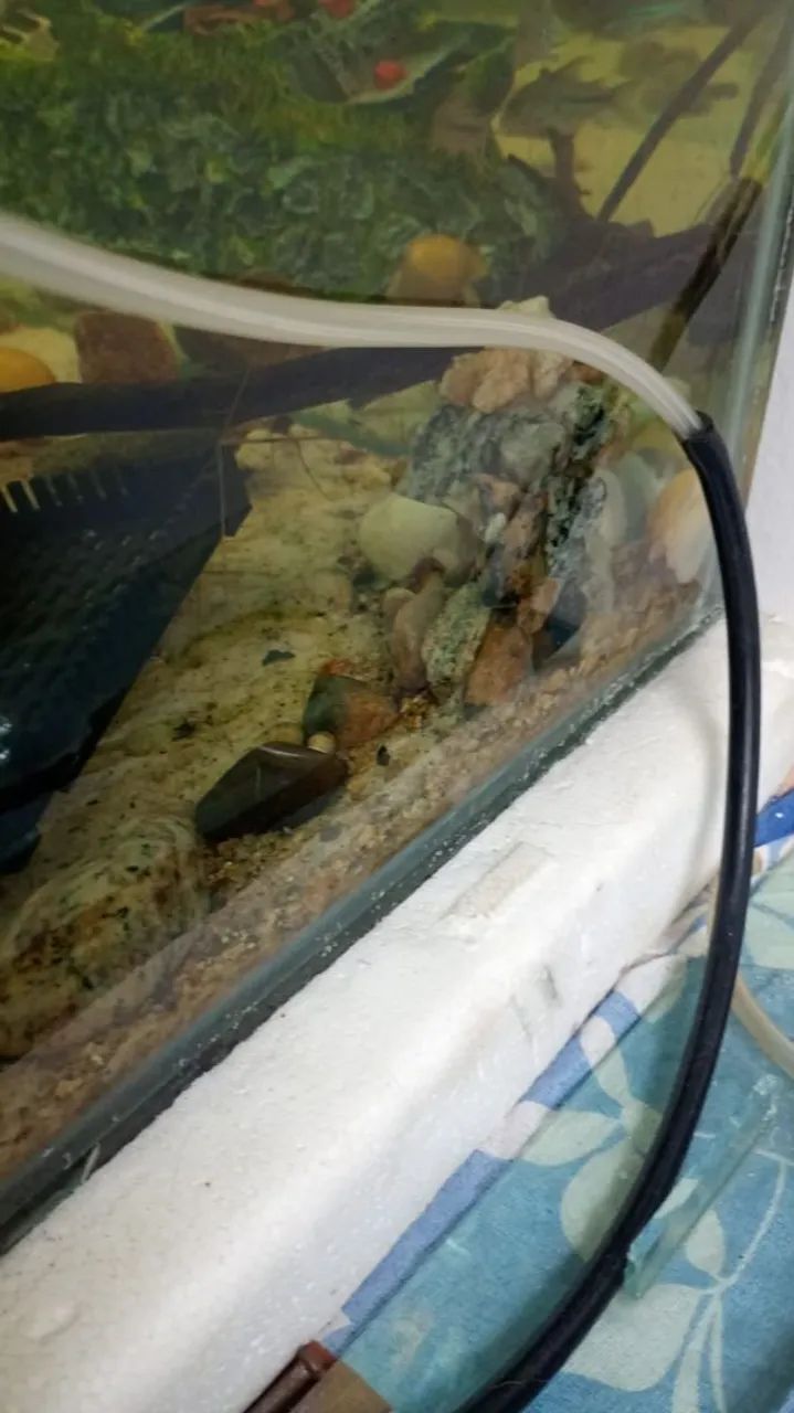 Aquário de 200L com acessórios  - Foto 6