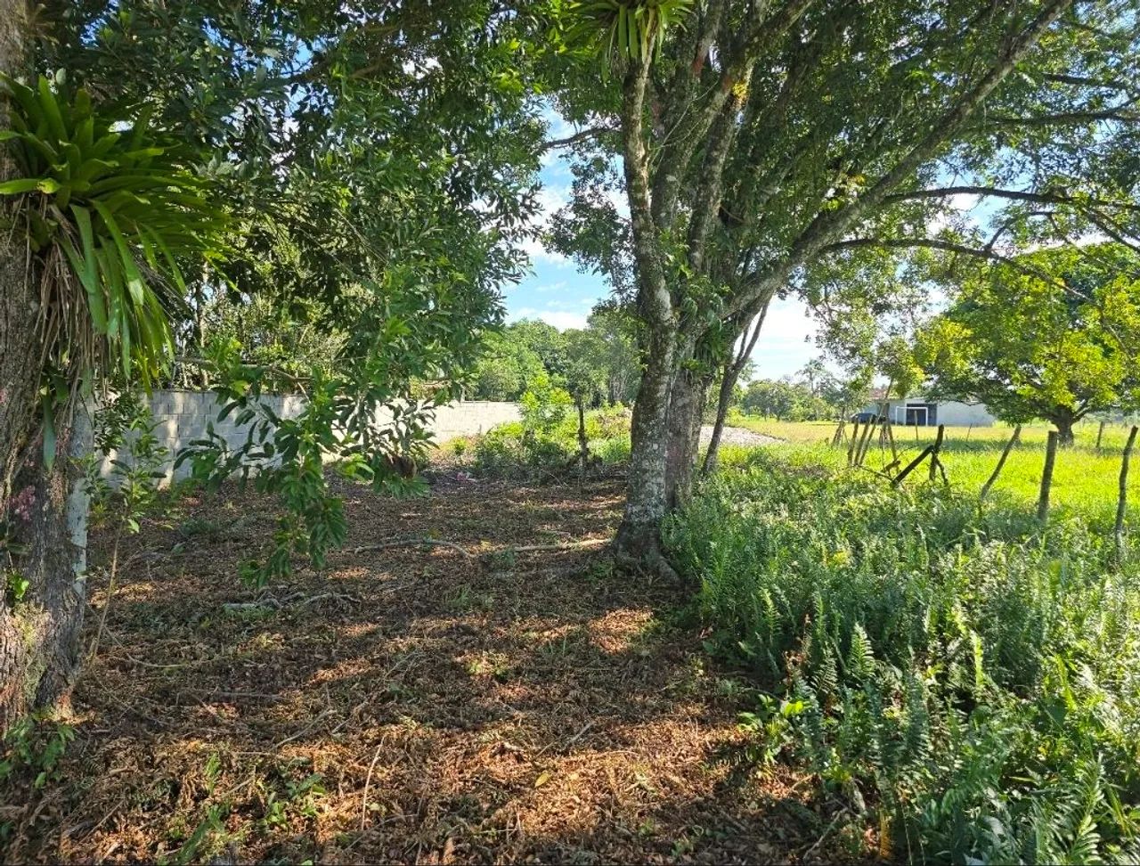 Terreno em São Francisco do Sul  - Foto 4