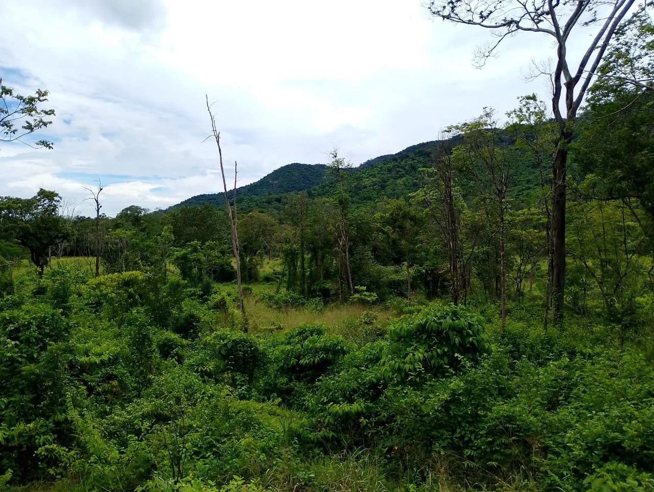 TERRENO - Foto 2