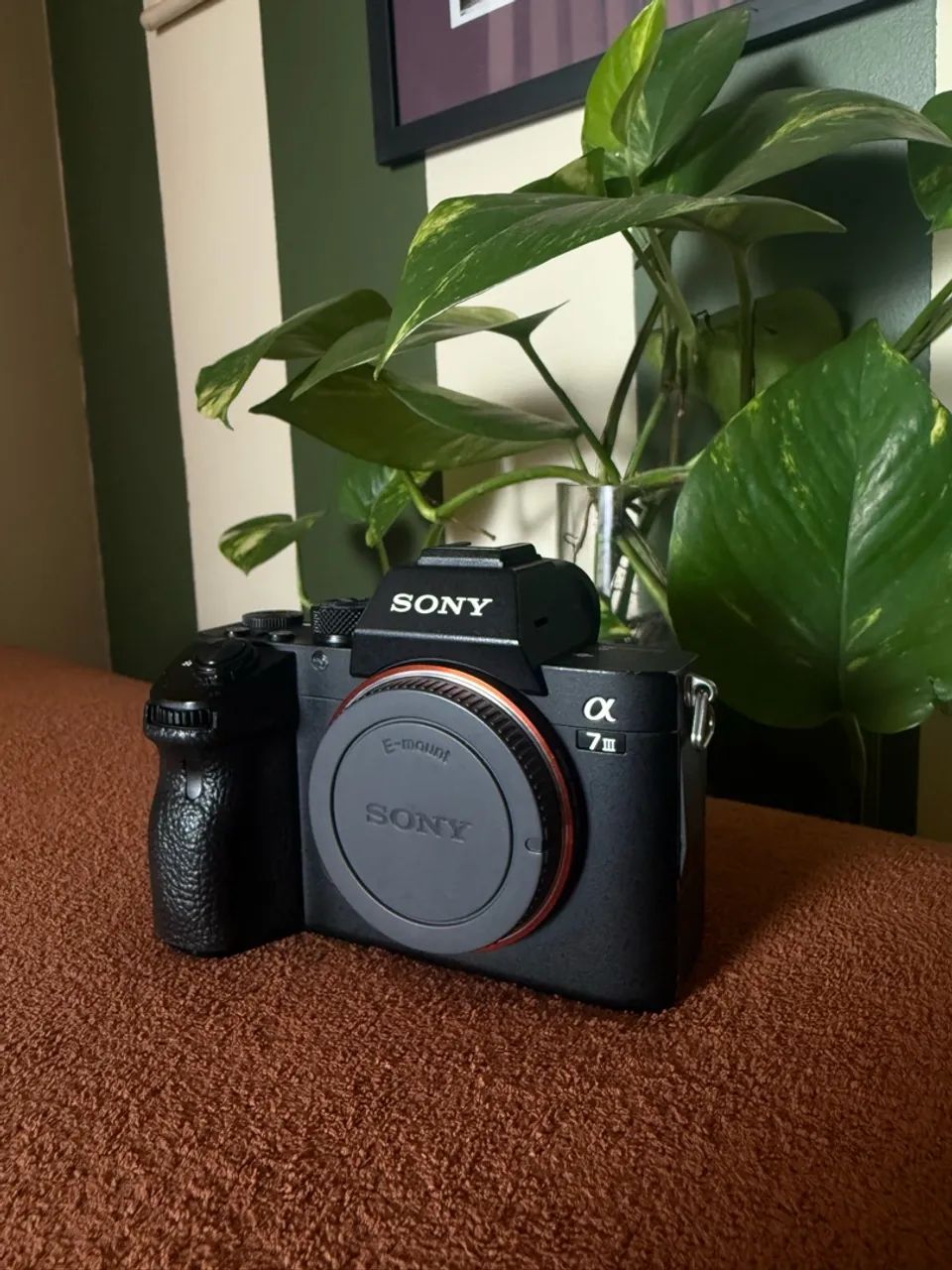 Sony A7III