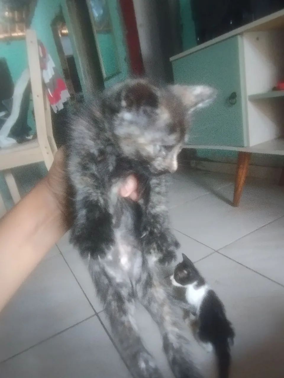 Com 2 meses  - Foto 4