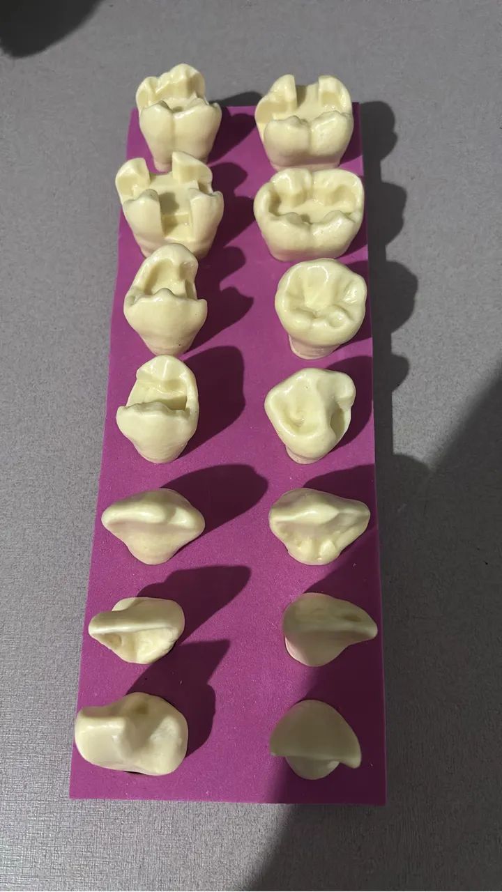 Dentes cavitarios da marca Orais  - Foto 2