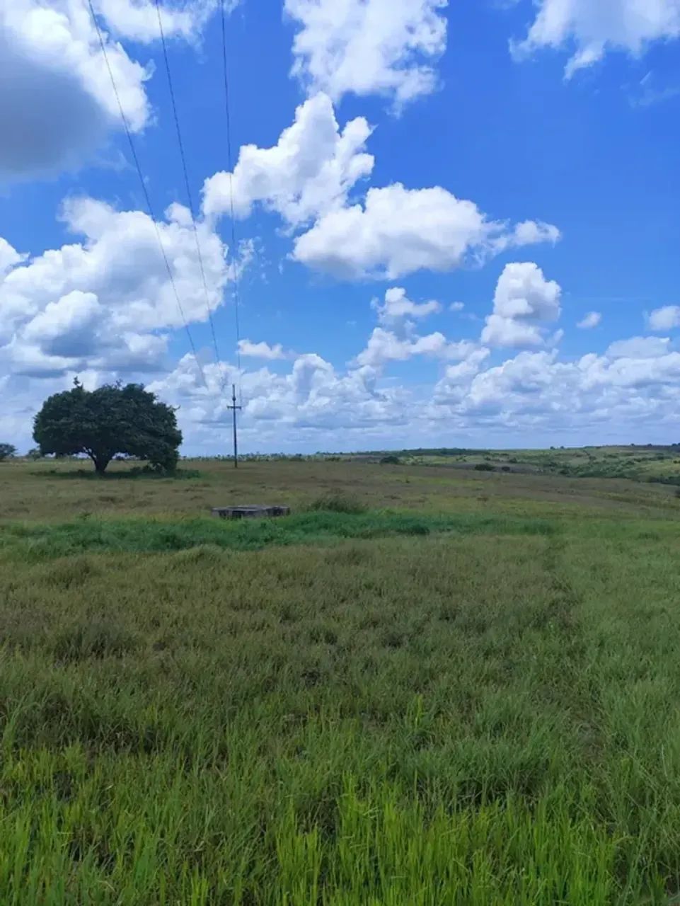 Excelente Fazenda com 38 hectares em monte alegre - Foto 2