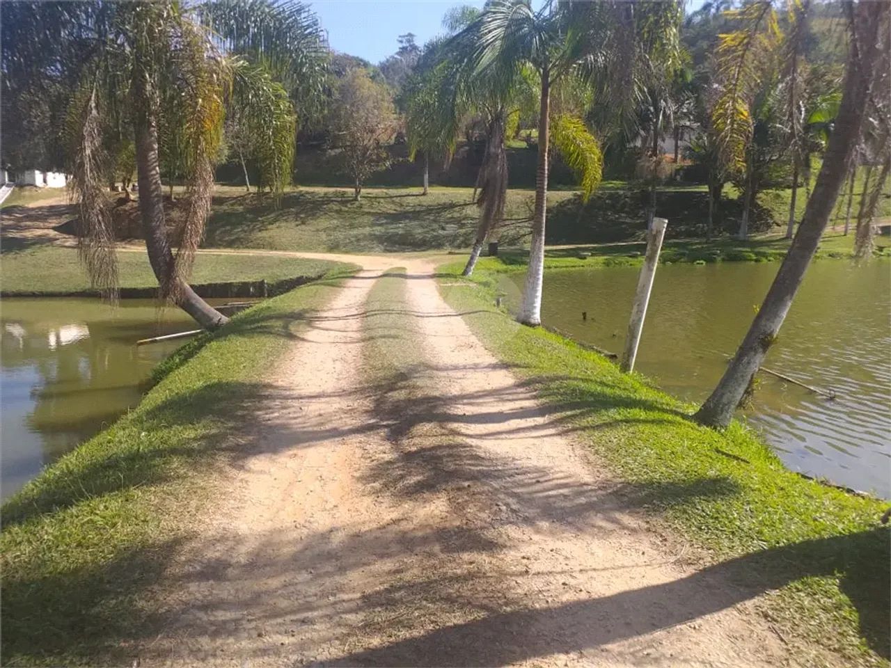 Sitio Pesqueiro 27.500 m² Biritiba Mirim - SP - Foto 3