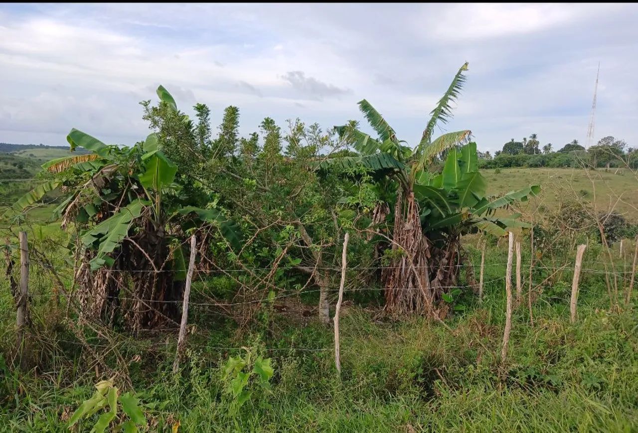 VENDO ESTE TERRENO!