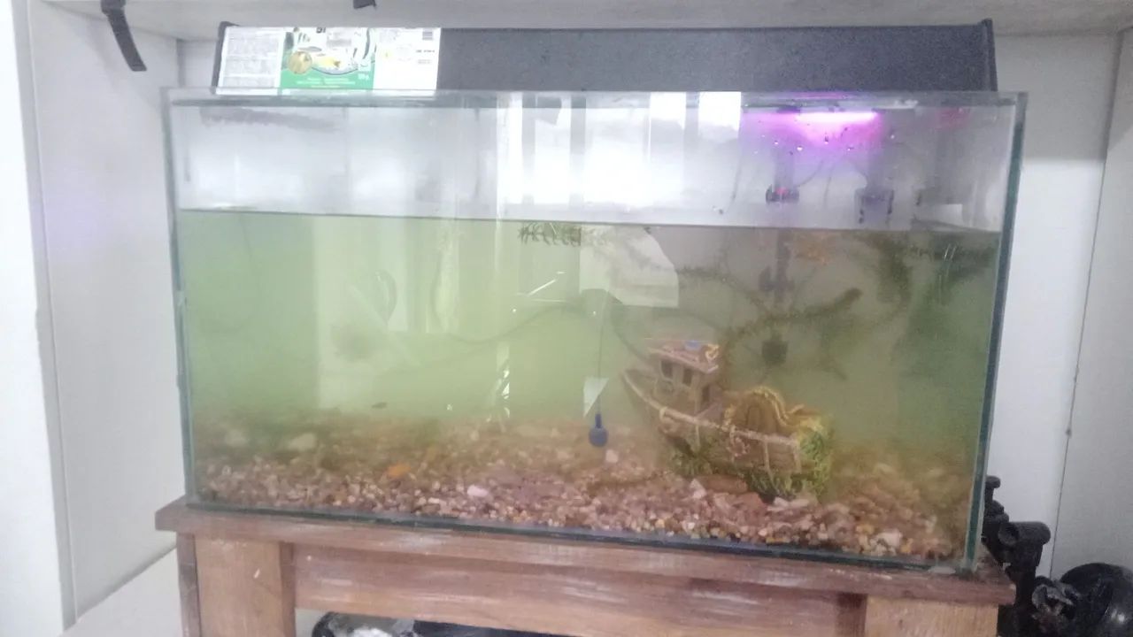 Aquario 80L