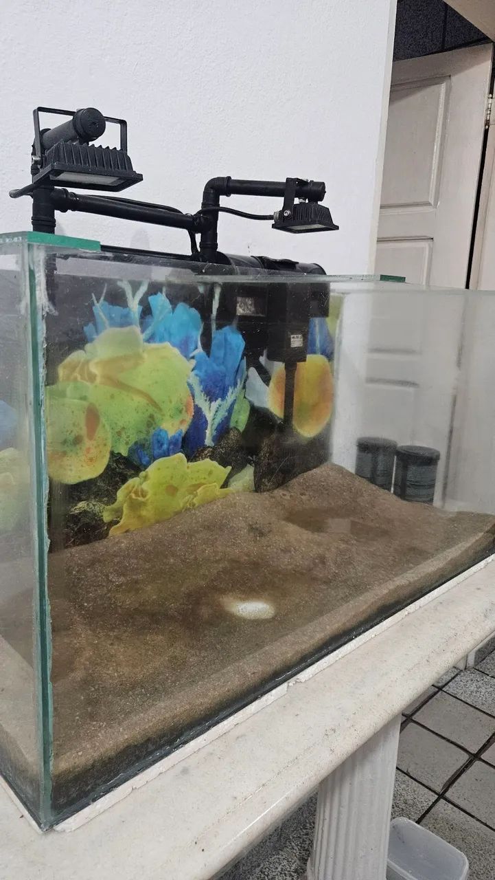 Aquário  - Foto 2