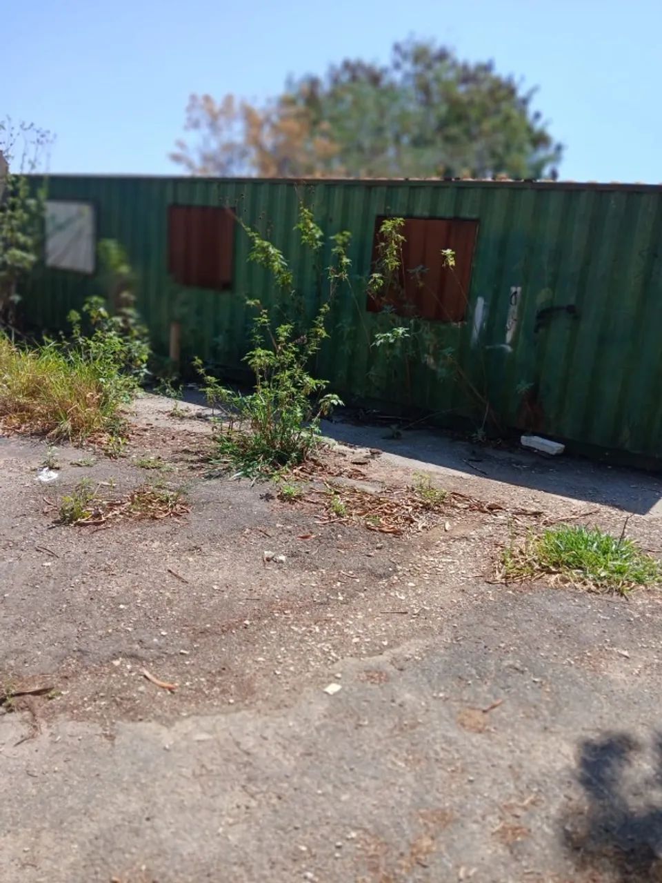 container - Foto 2