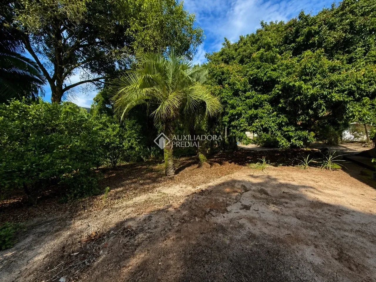 Terreno para venda em MONTE VERDE com 12.804 M² - Foto 4