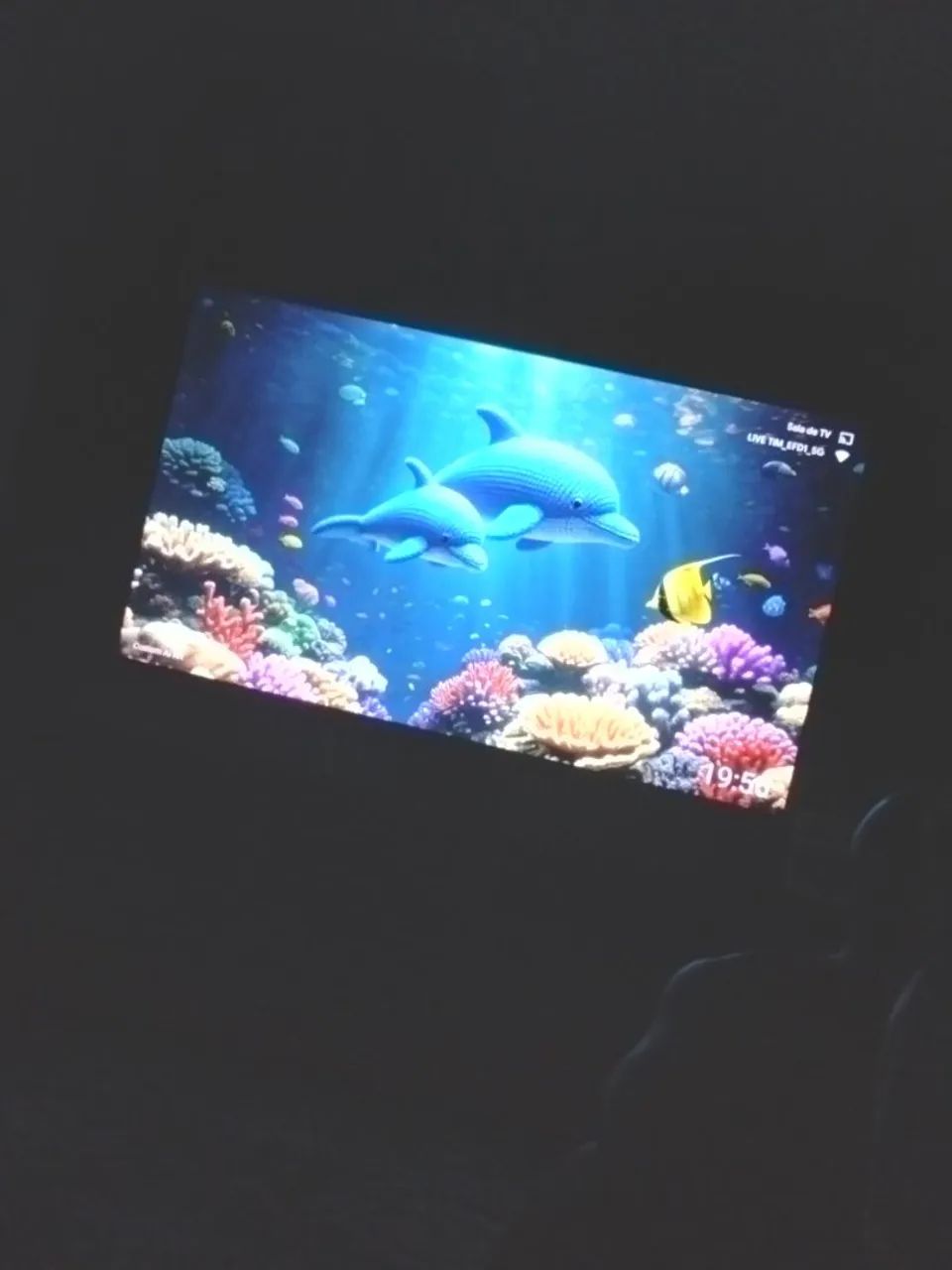 Tv 65