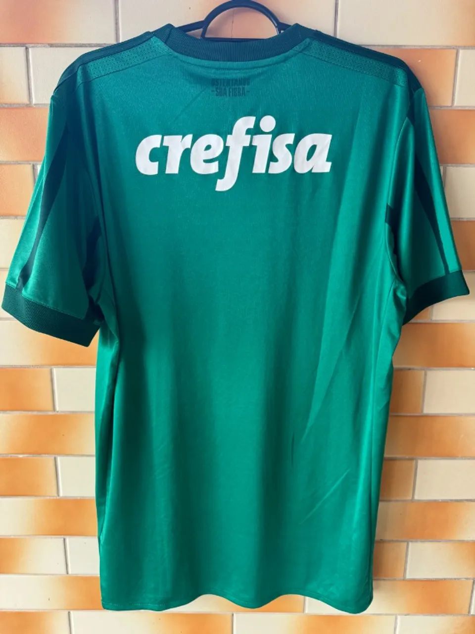 palmeiras 2017 - Foto 5