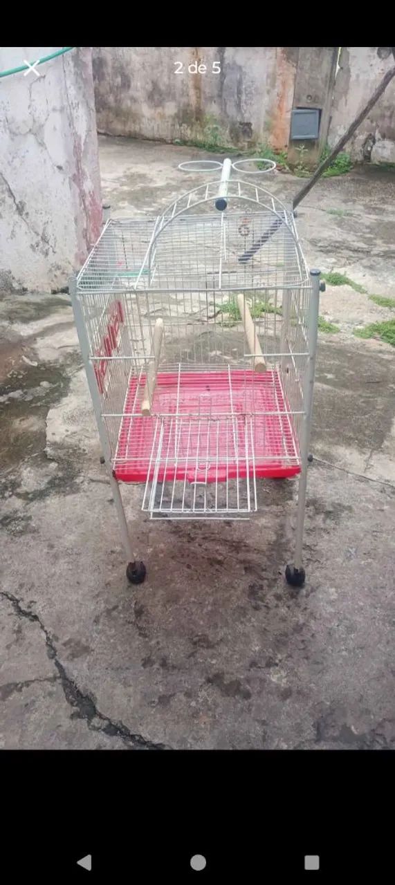 Gaiola de pé 