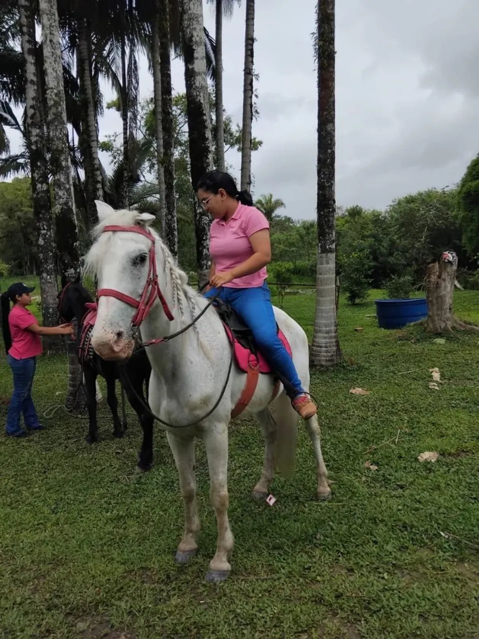 Vendo cavalo marchador - Foto 2