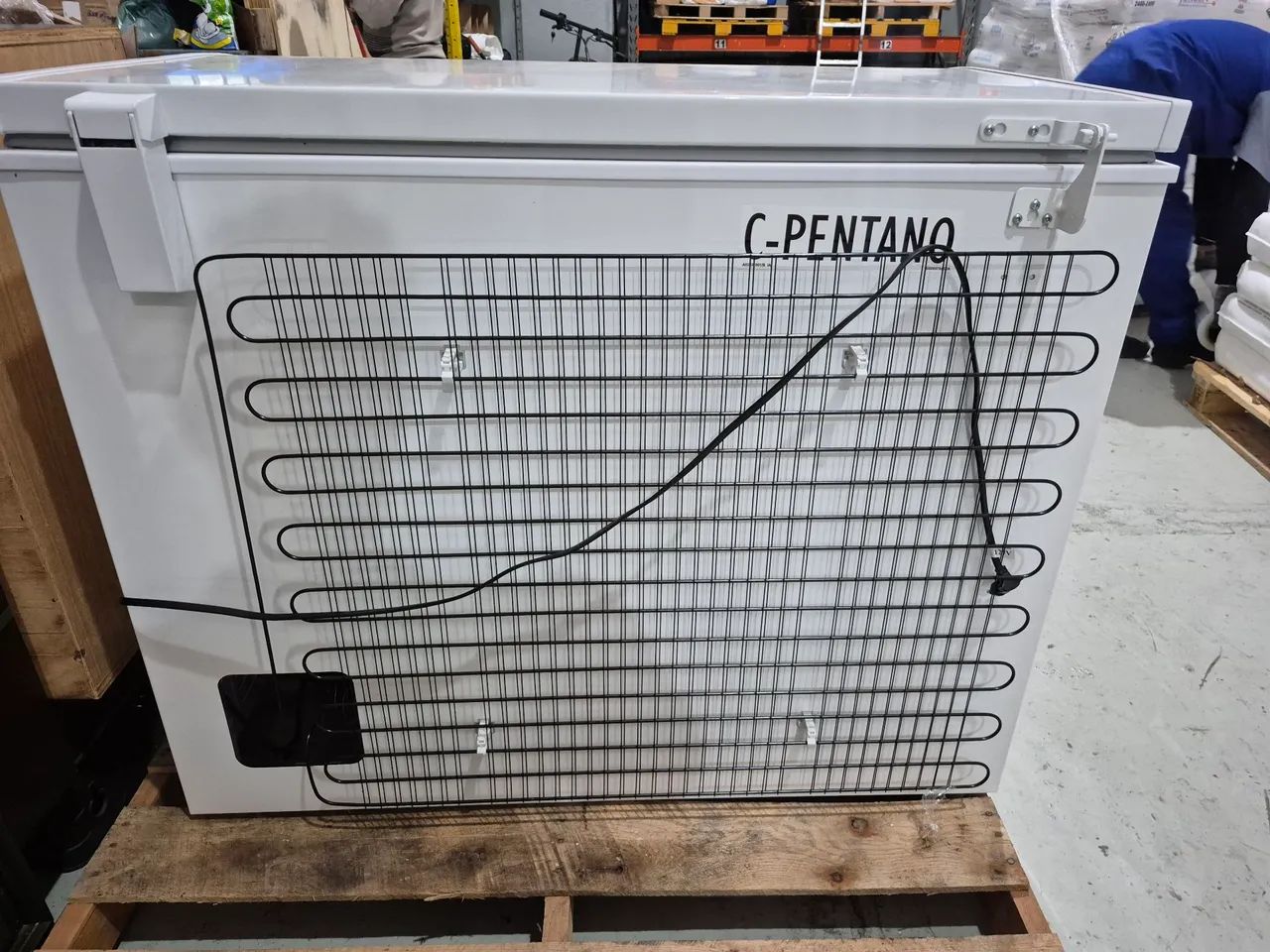 Frezzer Horizontal Electrolux 314L.  - Foto 2