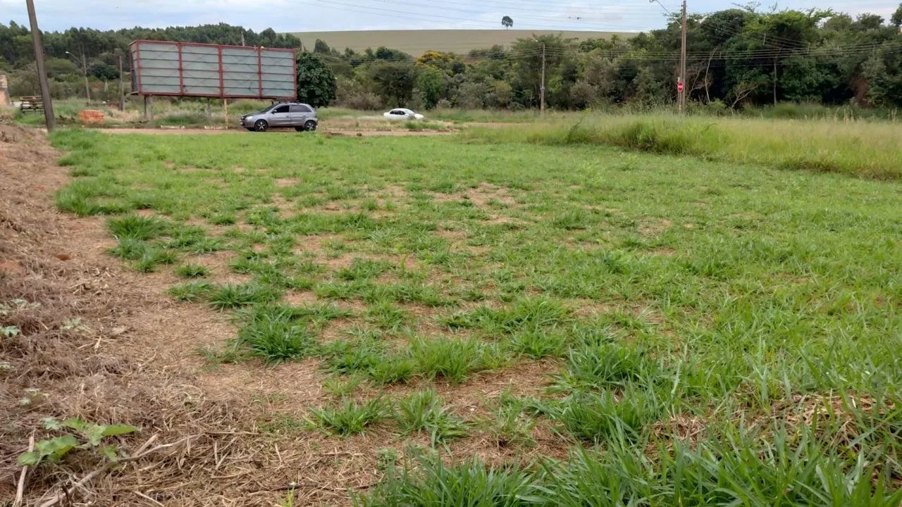 Colina verde - Foto 3