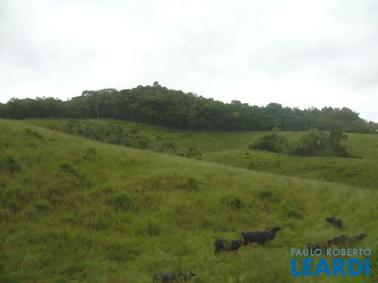 AREA - PARQUE SANTA ROSA - SP - Foto 2