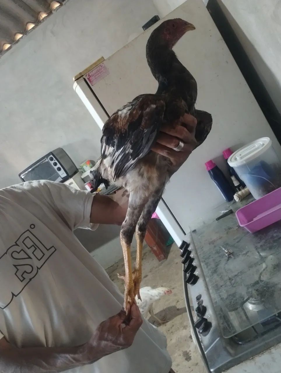 Frango índio 
