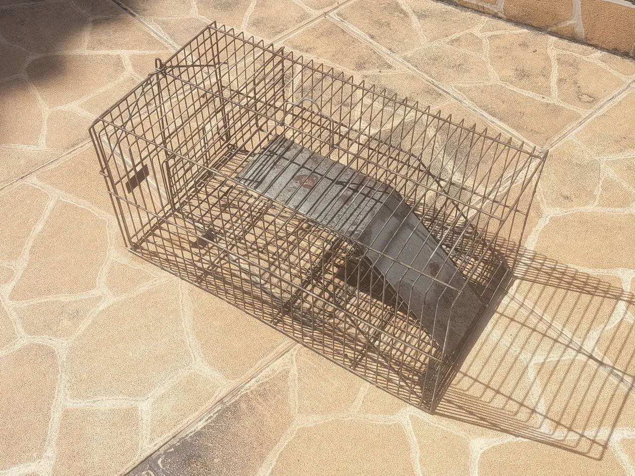 Armadilha de rato - Foto 2