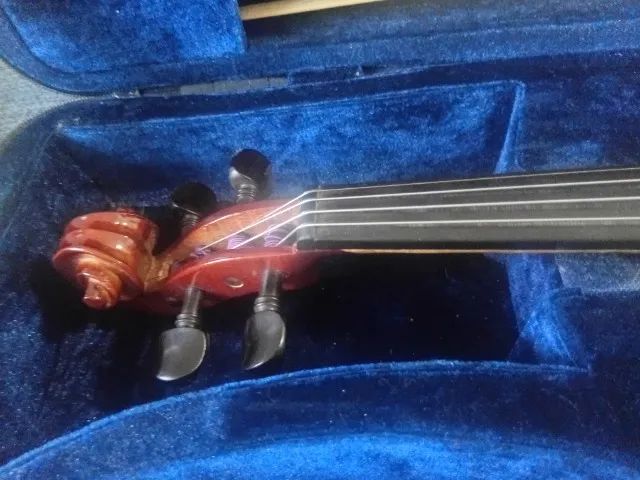 Violino Eagle VE144 Master Series - Regulado por Luthier - Foto 4