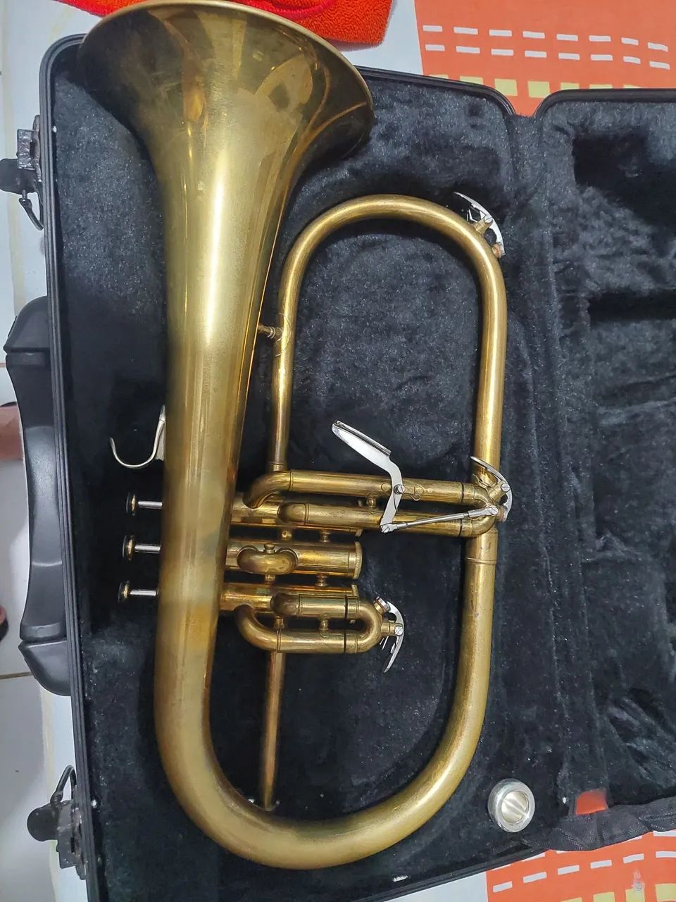 Flugelhorn Michael  - Foto 5