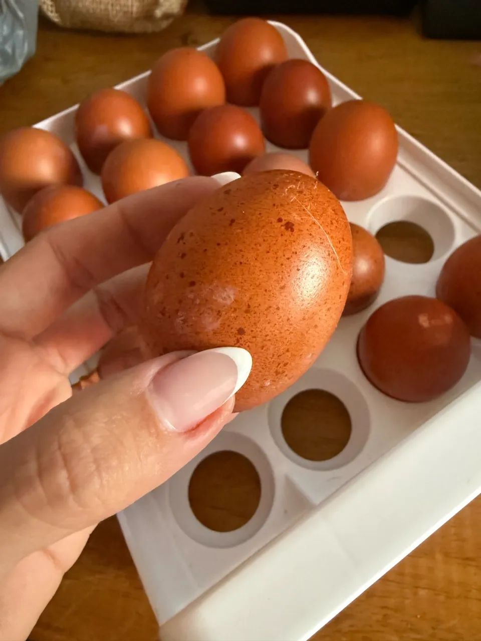 Ovos marans 