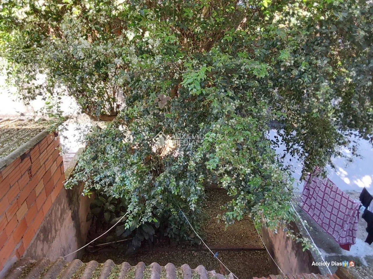OPORTUNIDADE Casa no Centro de São Bernardo do Campo - Foto 4
