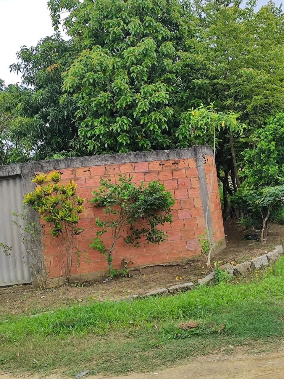 Vendo terreno com escritura  - Foto 4