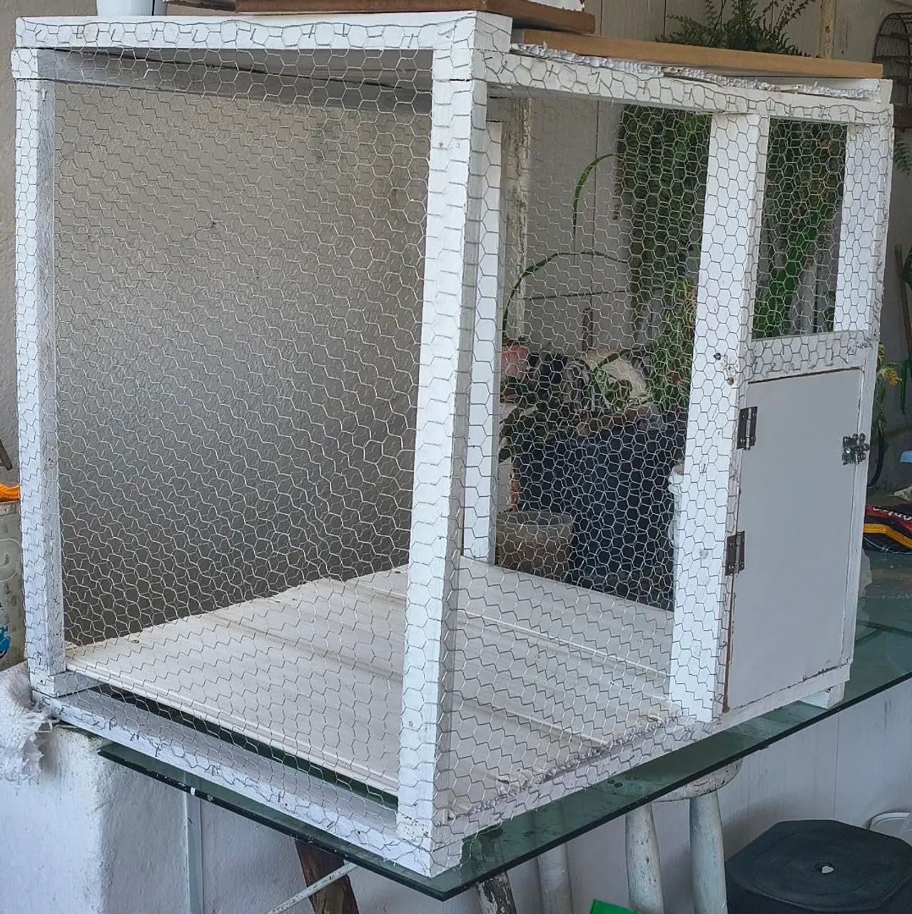 Viveiro médio  - Foto 2