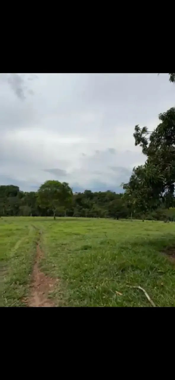 Chácara 18 alqueires Goianápolis oportunidade - Foto 4
