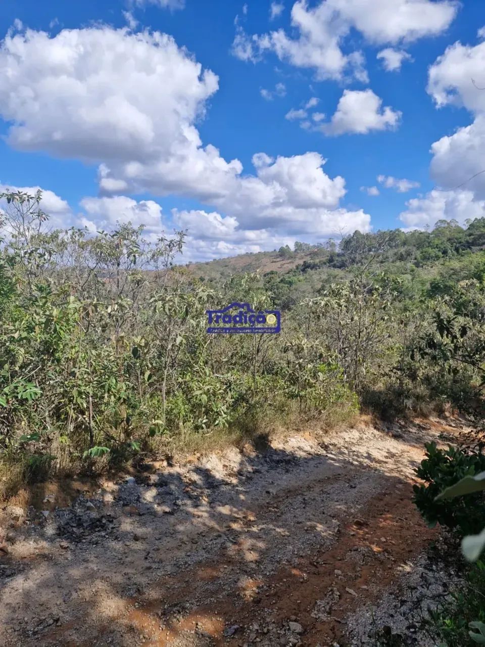 Terreno   Rural  em Oliveira - MG - Foto 4