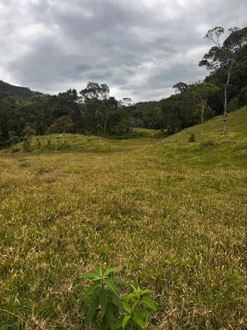 Sitio belo Águas Mornas - SC - Foto 3