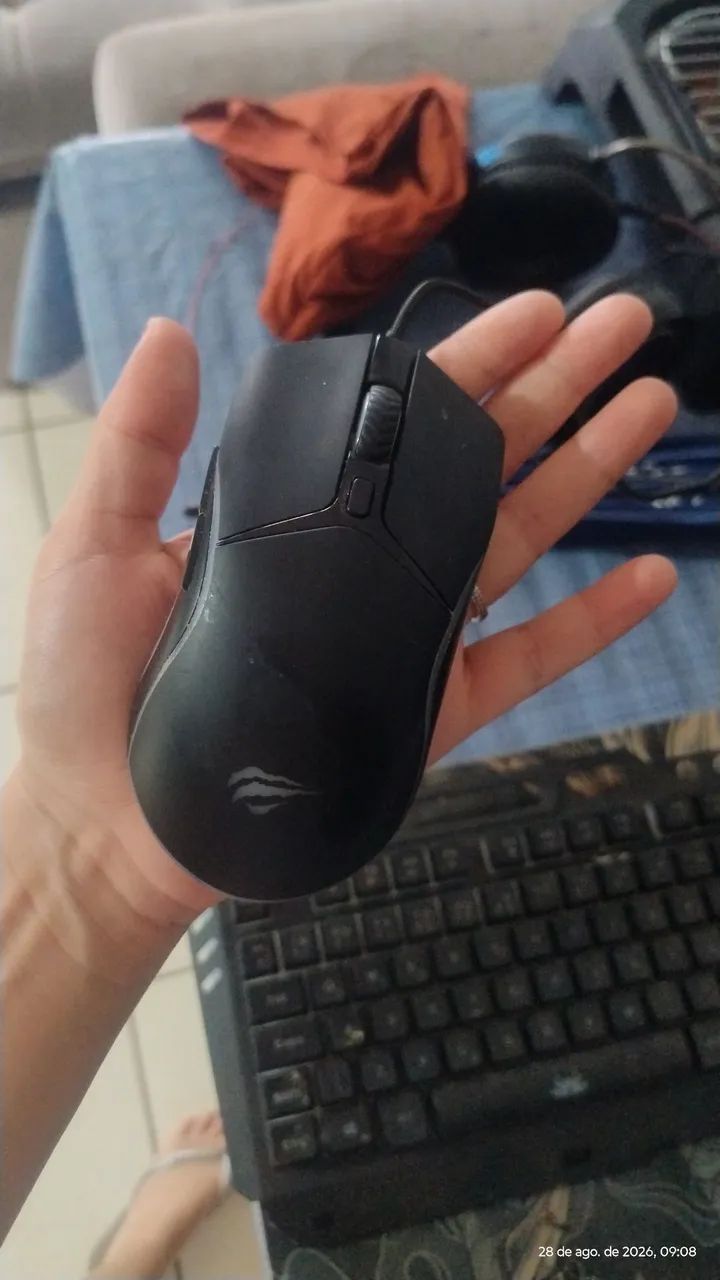 Mouse 
