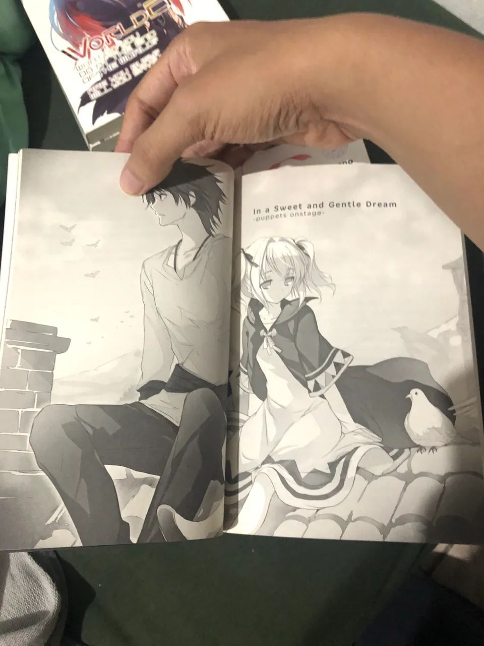 Worldend light novel em inglês completa + extra  - Foto 4