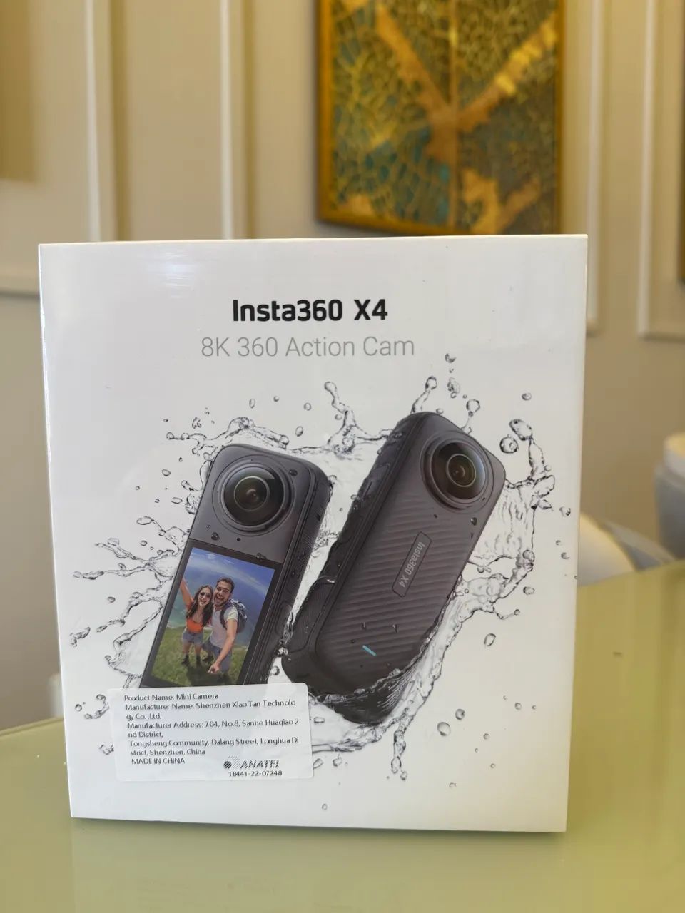 CÂMERA INSTA360 X4 