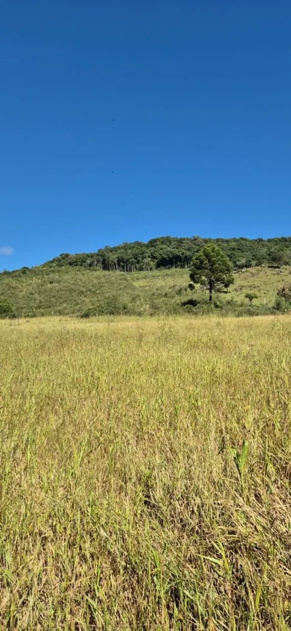 Terreno rural a venda 