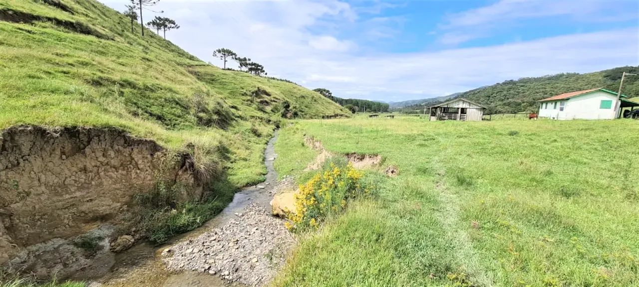 Sitio em Bom Retiro- Serra Catarinense -184.000 m² - Foto 3